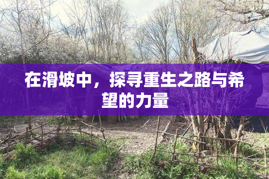 在滑坡中，探寻重生之路与希望的力量