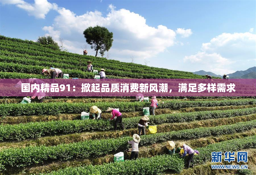 国内精品91：掀起品质消费新风潮，满足多样需求