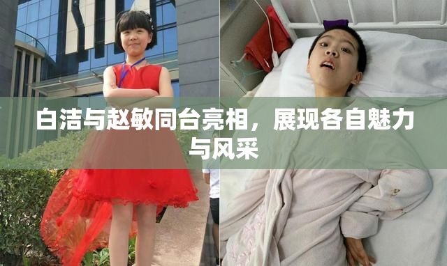 白洁与赵敏同台亮相，展现各自魅力与风采