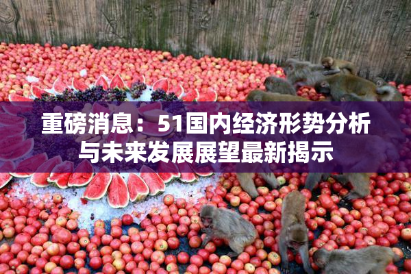 重磅消息：51国内经济形势分析与未来发展展望最新揭示