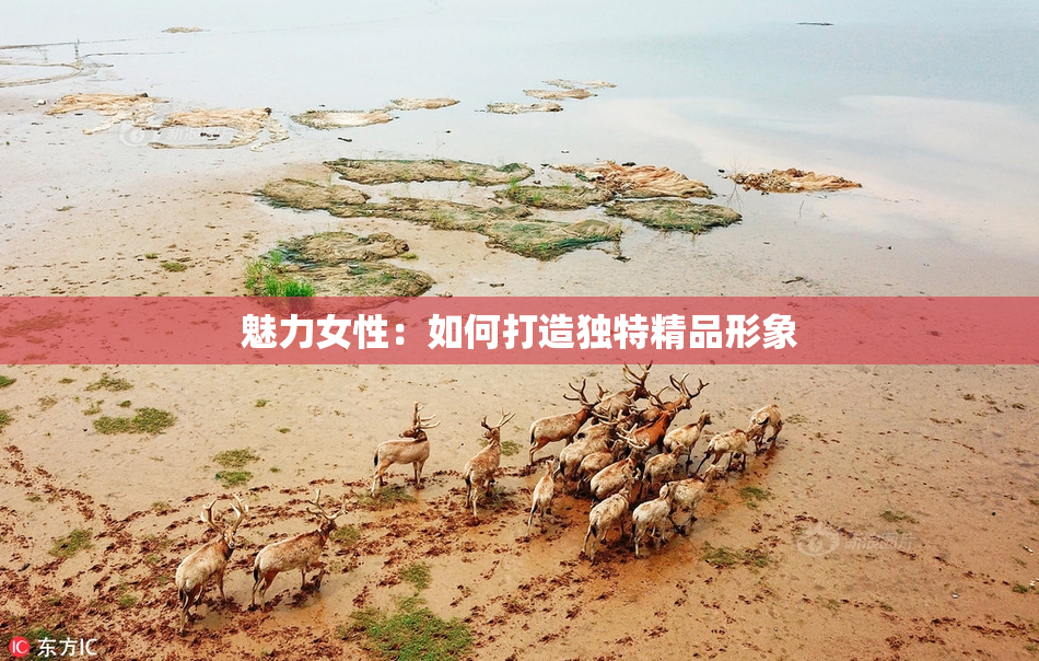 魅力女性：如何打造独特精品形象