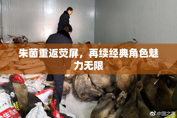 朱茵重返荧屏，再续经典角色魅力无限