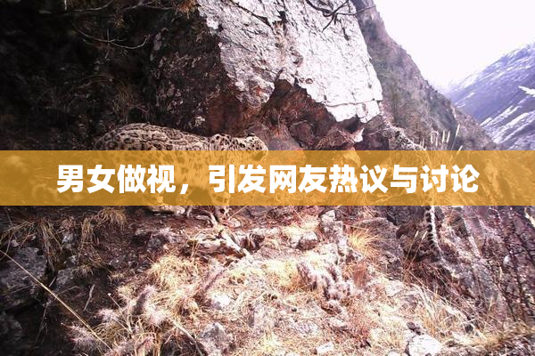 男女做视，引发网友热议与讨论
