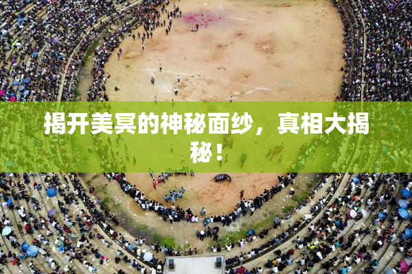 揭开美冥的神秘面纱，真相大揭秘！