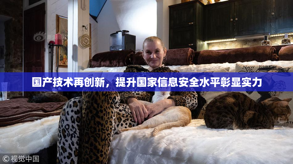 国产技术再创新，提升国家信息安全水平彰显实力