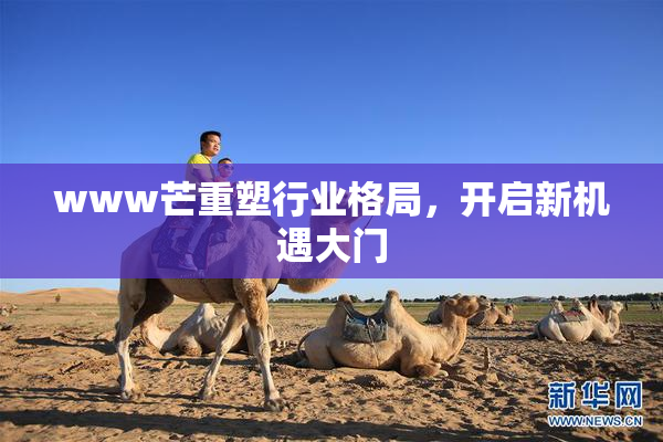 www芒重塑行业格局，开启新机遇大门