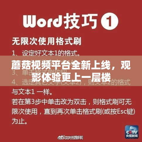 蘑菇视频平台全新上线，观影体验更上一层楼
