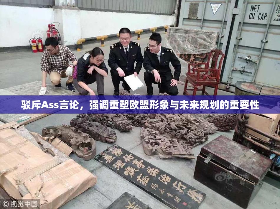 驳斥Ass言论，强调重塑欧盟形象与未来规划的重要性