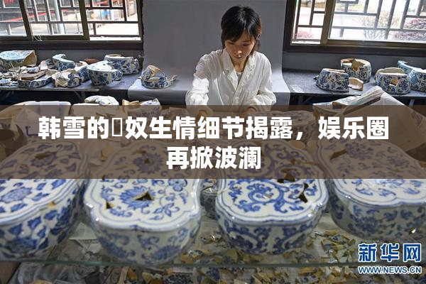 韩雪的婬奴生情细节揭露，娱乐圈再掀波澜