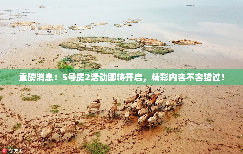 重磅消息：5号房2活动即将开启，精彩内容不容错过！