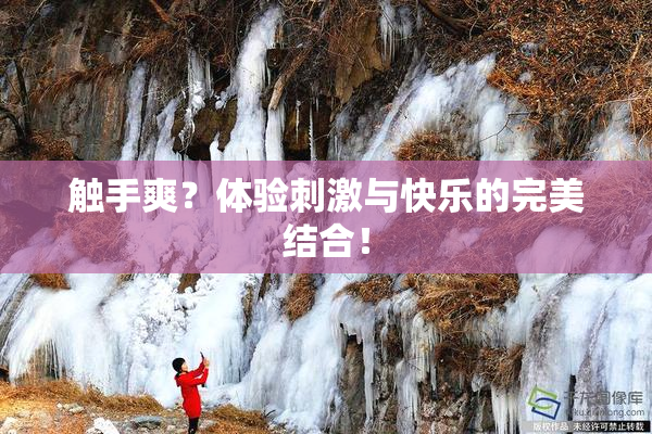 触手爽？体验刺激与快乐的完美结合！