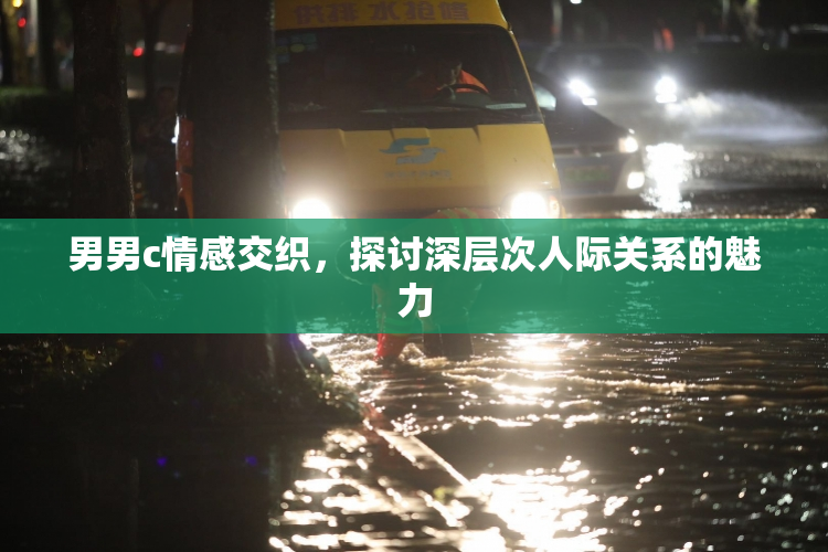男男c情感交织，探讨深层次人际关系的魅力