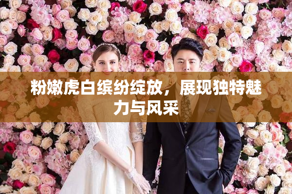 粉嫩虎白缤纷绽放，展现独特魅力与风采