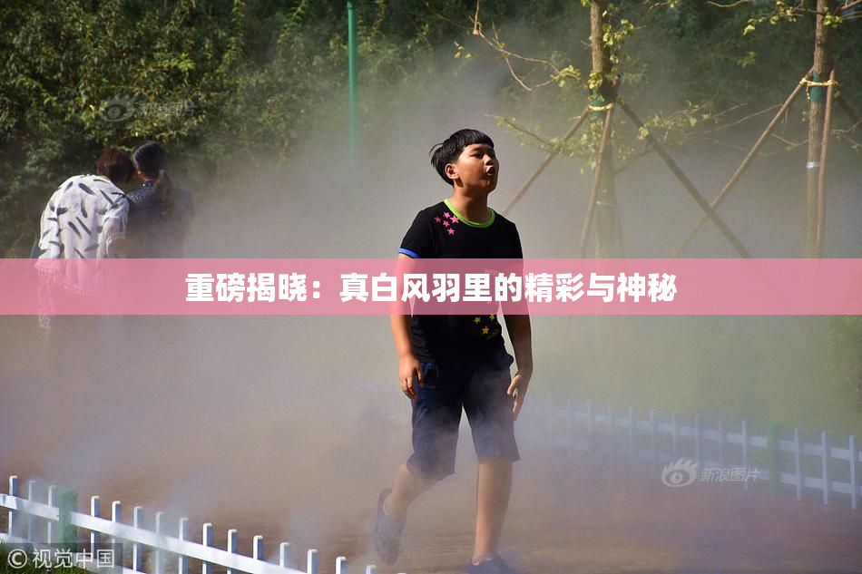 重磅揭晓：真白风羽里的精彩与神秘