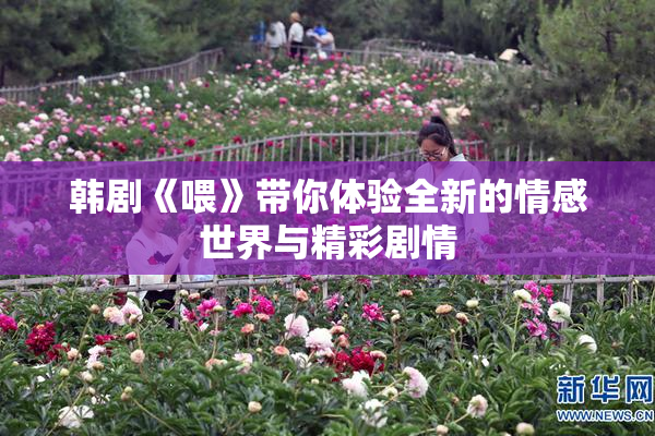 韩剧《喂》带你体验全新的情感世界与精彩剧情