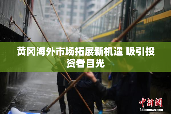 黄冈海外市场拓展新机遇 吸引投资者目光