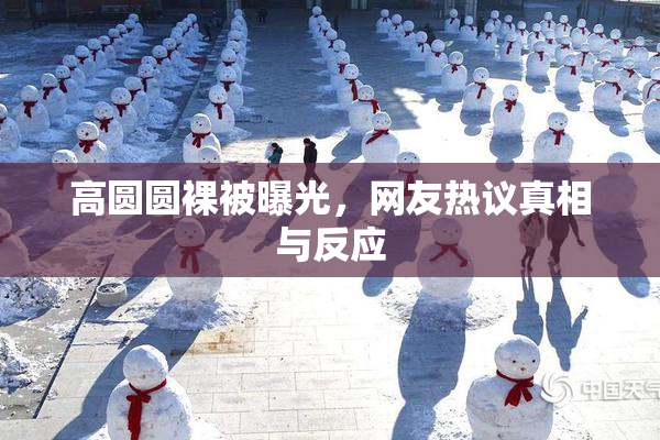 高圆圆裸被曝光，网友热议真相与反应