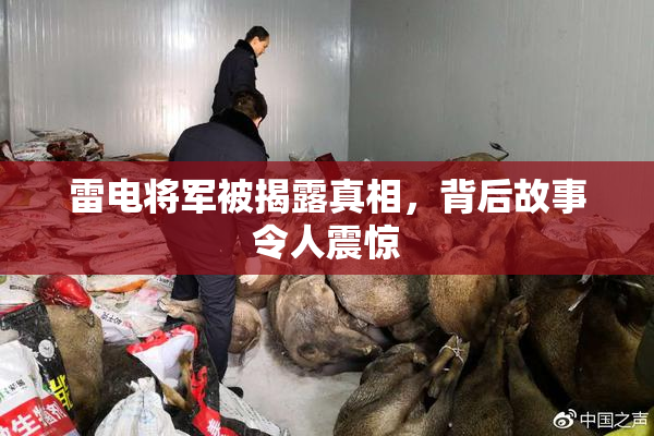 雷电将军被揭露真相，背后故事令人震惊