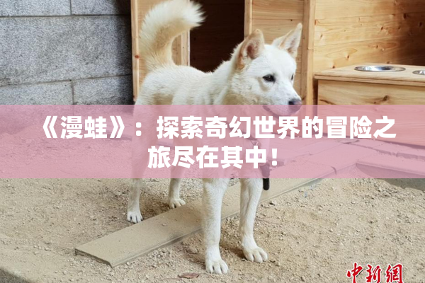 《漫蛙》：探索奇幻世界的冒险之旅尽在其中！