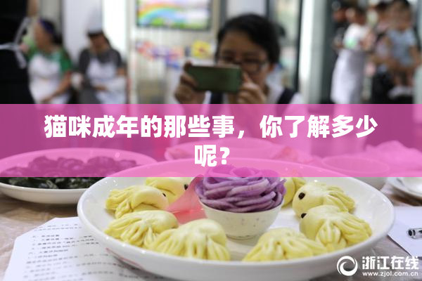 猫咪成年的那些事，你了解多少呢？