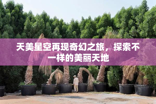 天美星空再现奇幻之旅，探索不一样的美丽天地
