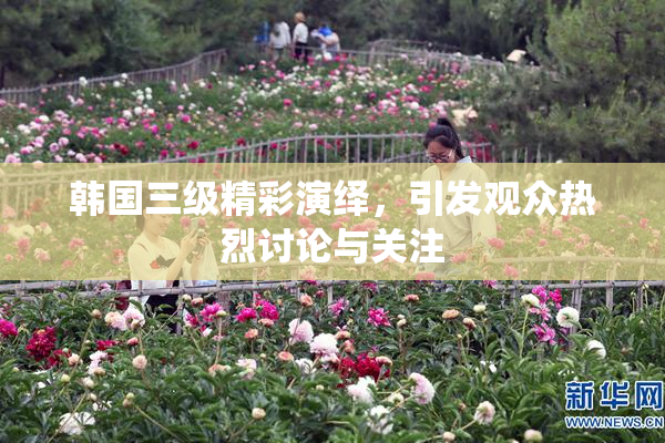 韩国三级精彩演绎，引发观众热烈讨论与关注