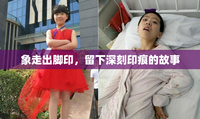 象走出脚印，留下深刻印痕的故事