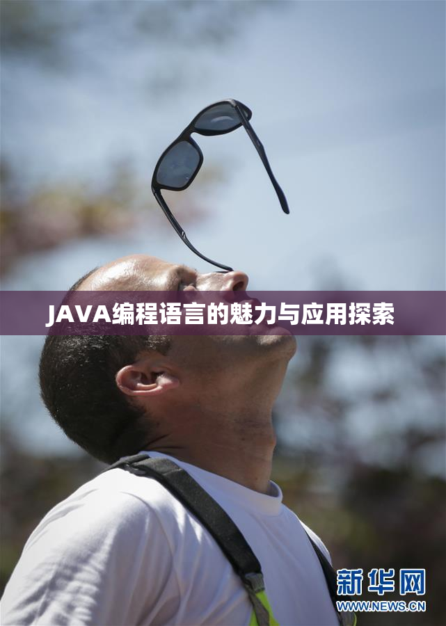 JAVA编程语言的魅力与应用探索