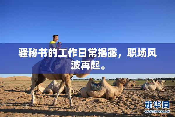 骚秘书的工作日常揭露，职场风波再起。