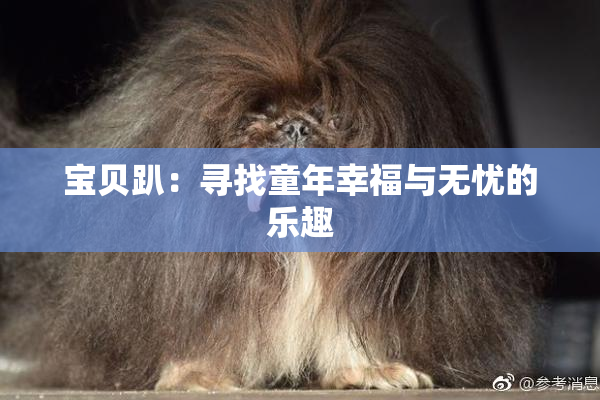 宝贝趴：寻找童年幸福与无忧的乐趣
