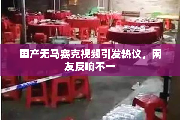 国产无马赛克视频引发热议，网友反响不一