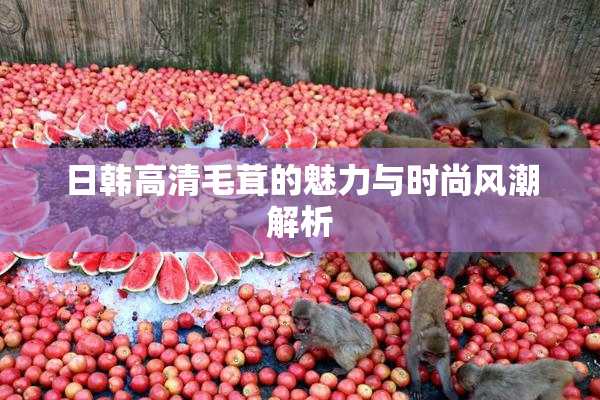 日韩高清毛茸的魅力与时尚风潮解析