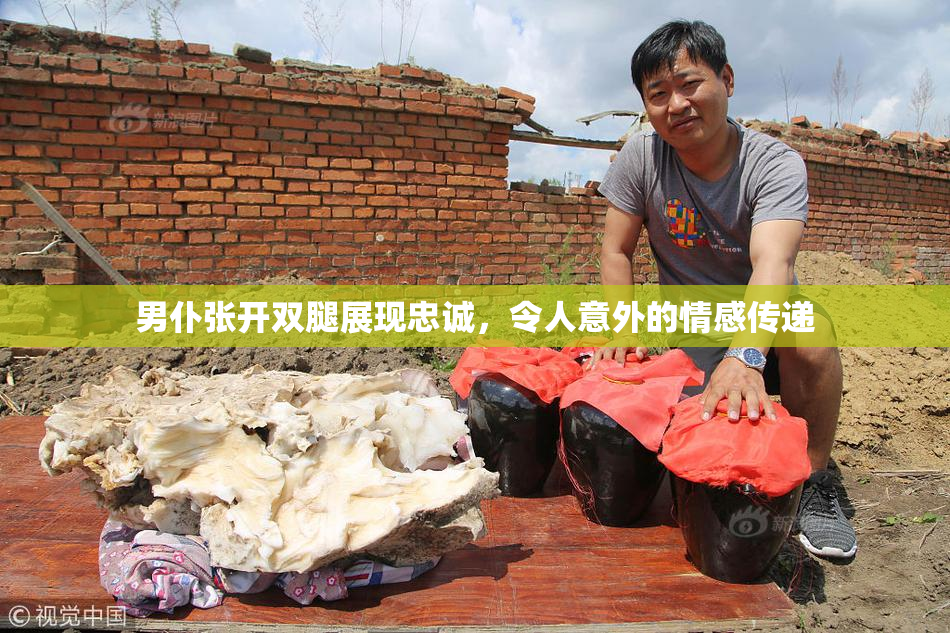 男仆张开双腿展现忠诚，令人意外的情感传递