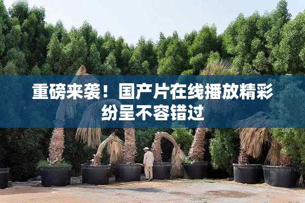 重磅来袭！国产片在线播放精彩纷呈不容错过