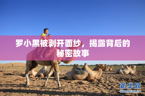 罗小黑被剥开面纱，揭露背后的秘密故事