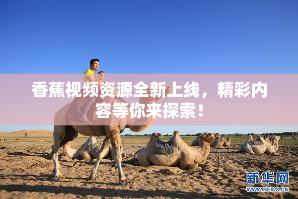 香蕉视频资源全新上线，精彩内容等你来探索！