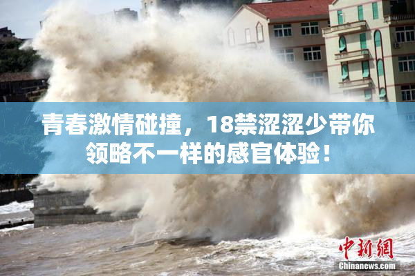 青春激情碰撞，18禁涩涩少带你领略不一样的感官体验！