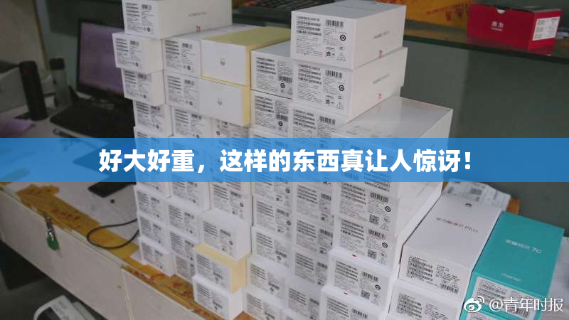 好大好重，这样的东西真让人惊讶！