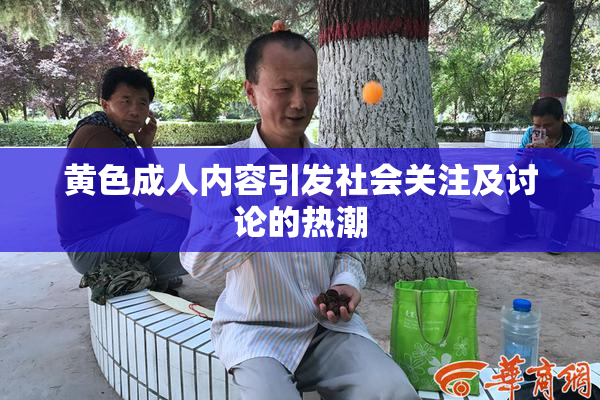 黄色成人内容引发社会关注及讨论的热潮