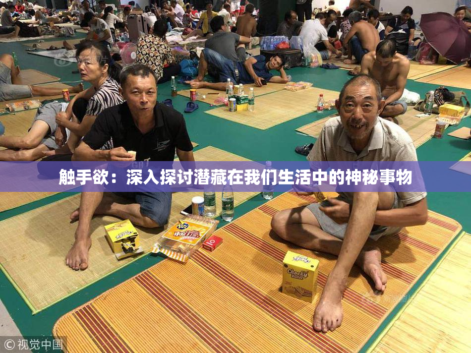 触手欲：深入探讨潜藏在我们生活中的神秘事物