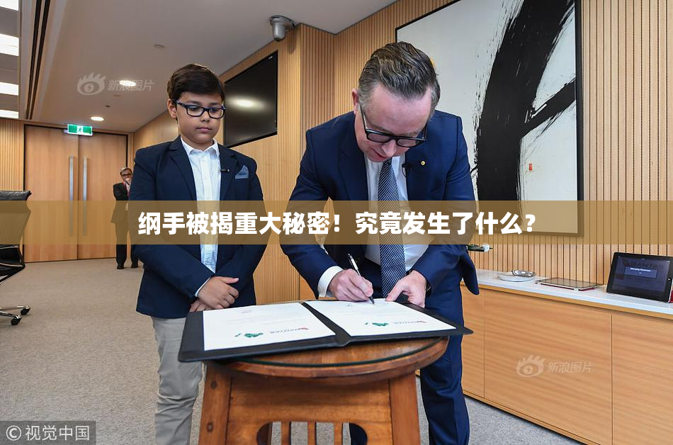 纲手被揭重大秘密！究竟发生了什么？