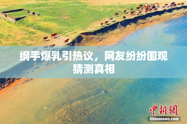 纲手爆乳引热议，网友纷纷围观猜测真相