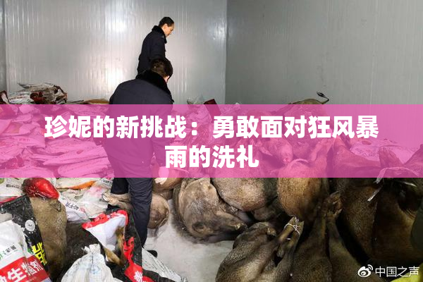 珍妮的新挑战：勇敢面对狂风暴雨的洗礼