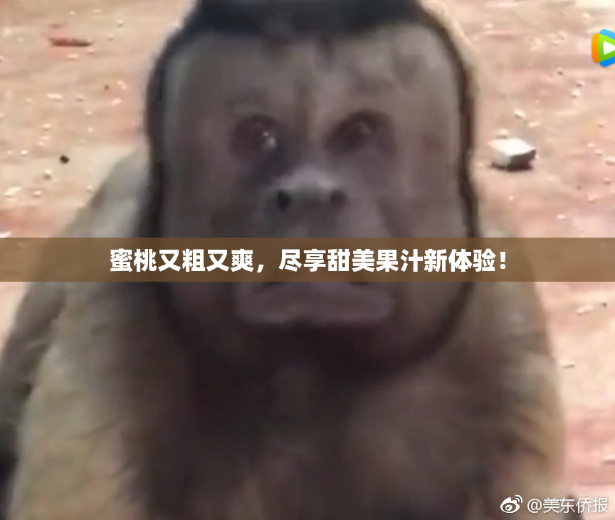 蜜桃又粗又爽，尽享甜美果汁新体验！