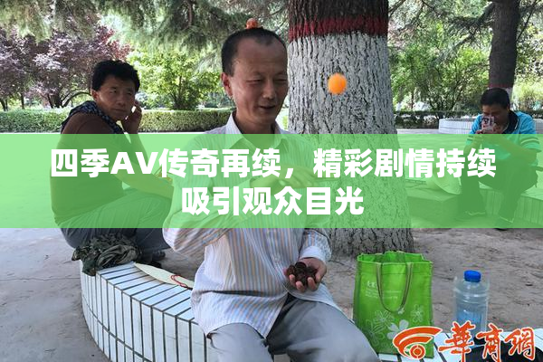 四季AV传奇再续，精彩剧情持续吸引观众目光