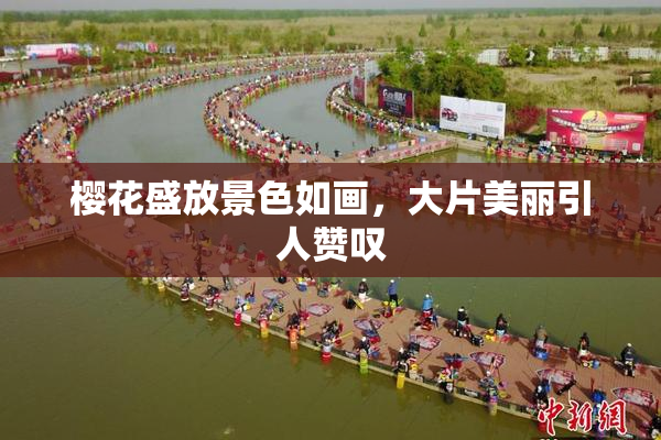 樱花盛放景色如画，大片美丽引人赞叹
