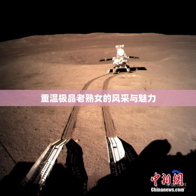 重温极品老熟女的风采与魅力