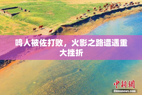 鸣人被佐打败，火影之路遭遇重大挫折
