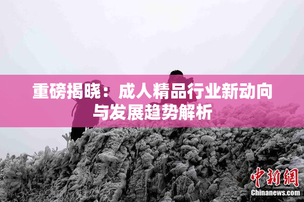 重磅揭晓：成人精品行业新动向与发展趋势解析