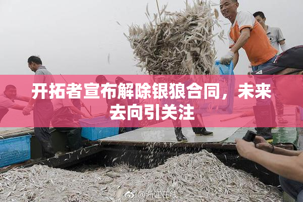 开拓者宣布解除银狼合同，未来去向引关注
